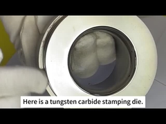 تشو تشو سانشين الكربيد التسمنتي - العفن